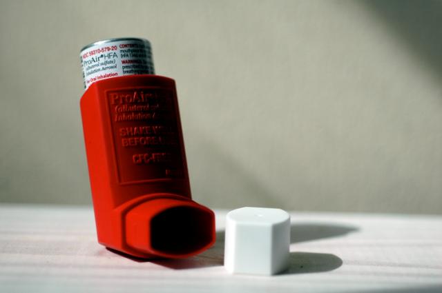 Crédits : NIAID (Flickr)